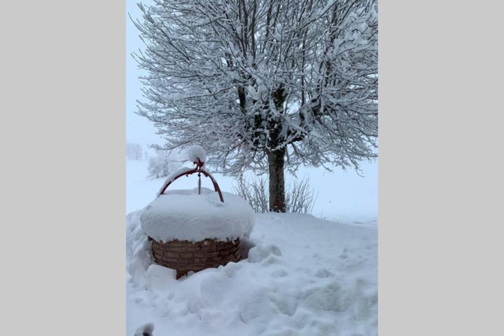 T2 Tout Confort, Depart Ski De Fond Depuis Le Jardin Appartement Les Rousses Buitenkant foto