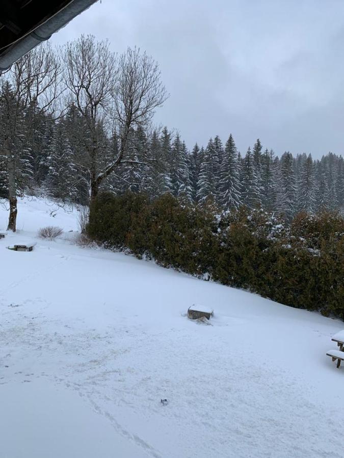 T2 Tout Confort, Depart Ski De Fond Depuis Le Jardin Appartement Les Rousses Buitenkant foto